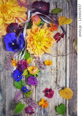 板に並べたダリアとパンジー 120802937