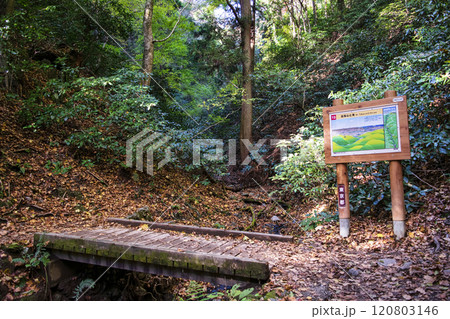 高尾山　琵琶滝コース（6号路）　登山道　大山橋から第一の橋　11月下旬 120803146