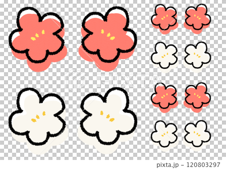 A simple and cute deformed illustration set of red and white plum blossoms A simple and cute deformed illustration set of red and white plum blossoms 120803297