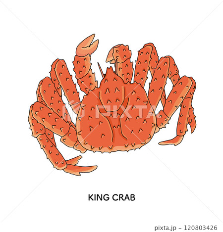 タラバガニ　線画のイラスト 120803426
