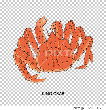 帝王蟹線描插圖 帝王蟹線描插圖 120803426