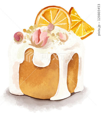 お花とオレンジのケーキの手描きイラスト お花とオレンジのケーキの手描きイラスト 120803453