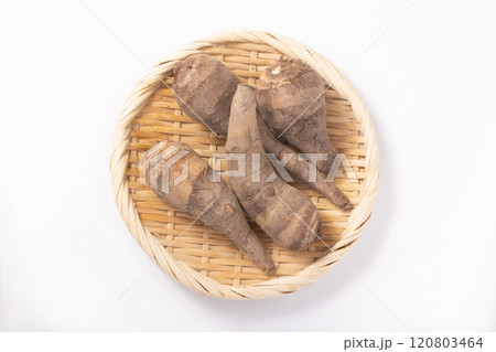 ［大阪府産］海老芋 120803464