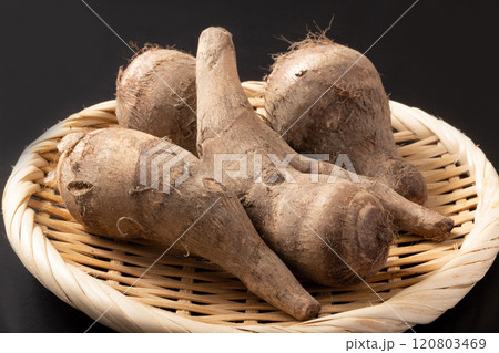 ［大阪府産］海老芋 120803469