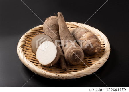 ［大阪府産］海老芋 120803479