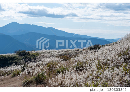 大野山山頂からの眺望風景 神奈川県山北町 大野山山頂からの眺望風景 神奈川県山北町 120803843