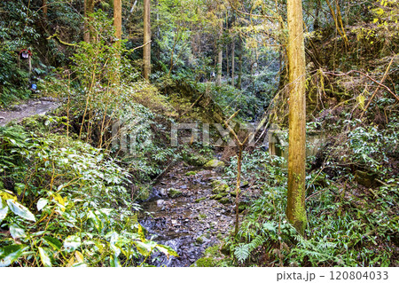 高尾山　琵琶滝コース（6号路）　登山道　琵琶滝へ　11月下旬 120804033