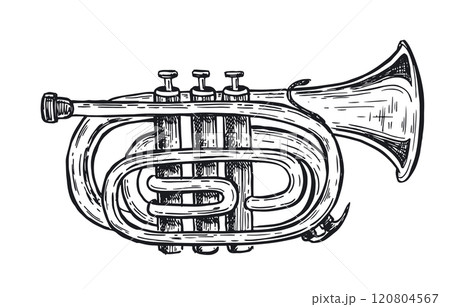 Trumpet, musical instruments, hand drawn illustration. Vector. Trumpet, musical instruments, hand drawn illustration. Vector. 120804567