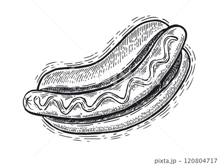 Hot dog hand drawn illustration.	 Hot dog hand drawn illustration.	 120804717