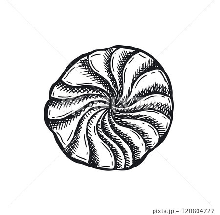 Cookie set hand drawn illustration. Vector.	 120804727