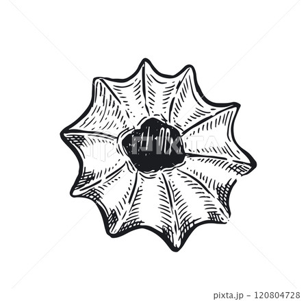 Cookie set hand drawn illustration. Vector.	 120804728