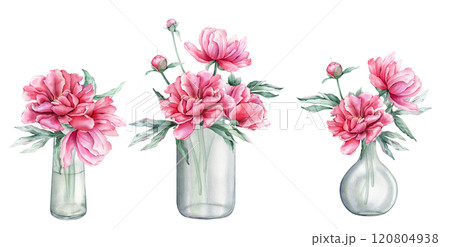 Watercolor set of bouquets of peony in various glass vases and jars. Hand drawn illustration beautiful floral flower. Summer botanical plant on isolated. Elements for design invitations or card. Watercolor set of bouquets of peony in various glass vases and jars. Hand drawn illustration beautiful floral flower. Summer botanical plant on isolated. Elements for design invitations or card. 120804938
