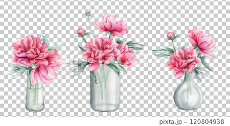Watercolor set of bouquets of peony in various glass vases and jars. Hand drawn illustration beautiful floral flower. Summer botanical plant on isolated. Elements for design invitations or card. Watercolor set of bouquets of peony in various glass vases and jars. Hand drawn illustration beautiful floral flower. Summer botanical plant on isolated. Elements for design invitations or card. 120804938