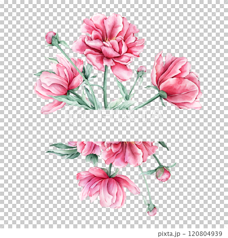 Frame watercolor summer pink peony flowers with space for text. Hand drawn illustration frame beautiful floral succulent flowers. Hand drawn texture with botanical plant 120804939