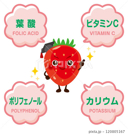イチゴのキャラクターとイチゴに含まれる成分イラスト 120805167