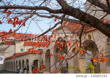 花のみち 120805191