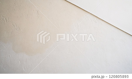 A light tan square placed in the bottom corner of a white canvas creates an asymmetrical balance 120805893