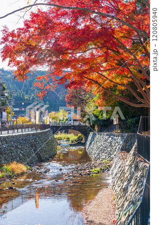 京王線　秋の高尾山口駅前 120805940