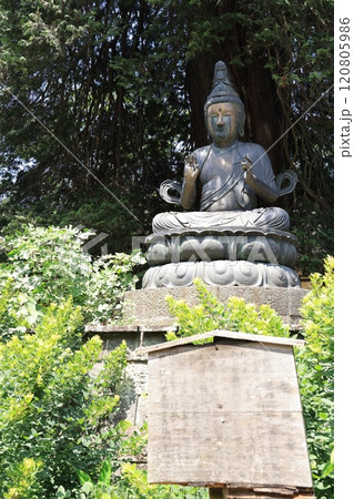 群馬県館林市の茂林寺の風景 120805986