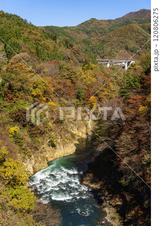 群馬県　吾妻峡橋から見る吾妻渓谷の秋 120806275
