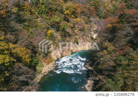 群馬県　吾妻峡橋から見下ろす秋の吾妻渓谷 120806276