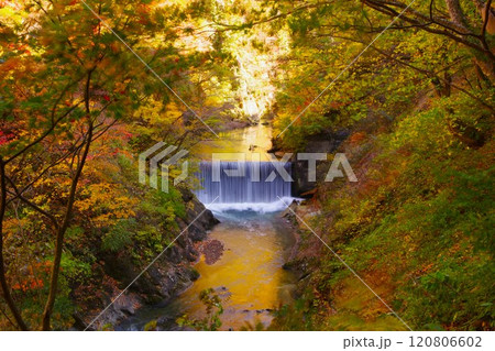 宮城県の鳴子峡の紅葉と滝 宮城県の鳴子峡の紅葉と滝 120806602