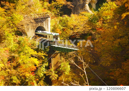 宮城県の鳴子峡を渡る電車と紅葉 宮城県の鳴子峡を渡る電車と紅葉 120806607