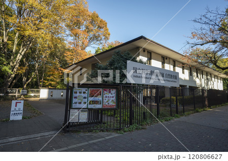 国立科学博物館付属自然教育園 国立科学博物館付属自然教育園 120806627