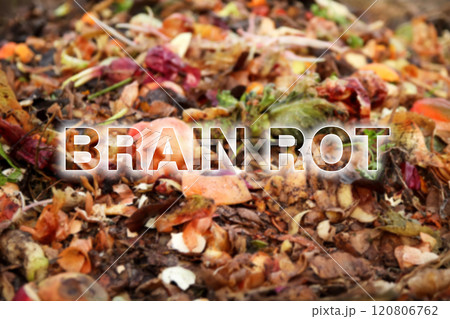 Compost background close up. Brain rot concept. Oxford Word of the Year 2024 Compost background close up. Brain rot concept. Oxford Word of the Year 2024 120806762