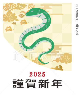 年賀状 2025年 巳年 年賀状 2025年 巳年 120807158