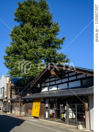 巨木立つ造り酒屋 内蔵のある町 秋田県横手市 巨木立つ造り酒屋 内蔵のある町 秋田県横手市 120807207