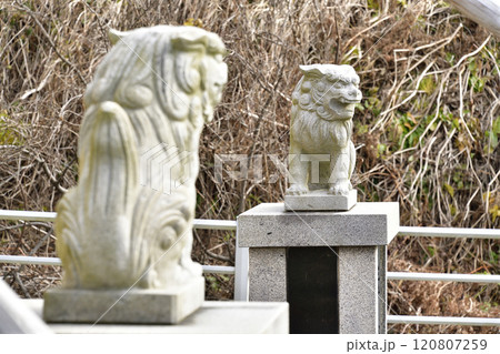 冬の北海道乙部町で三ツ谷八幡神社の境内の風景を撮影 冬の北海道乙部町で三ツ谷八幡神社の境内の風景を撮影 120807259