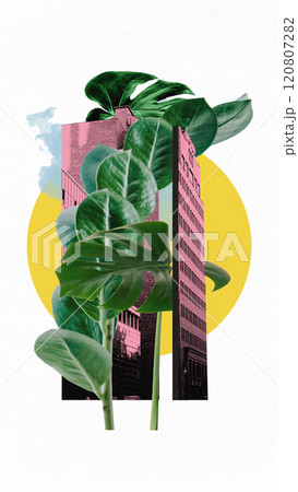Contemporary art collage. Sleek urban architecture with vibrant natural leaves, showcasing eco-friendly urban aesthetics. 120807282