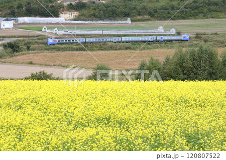 廃止確定　石北本線　臨時特急大雪　特急大雪　キハ283系　283系 120807522