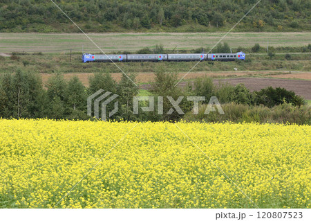 廃止確定 石北本線 臨時特急大雪 特急大雪 キハ283系 283系 廃止確定 石北本線 臨時特急大雪 特急大雪 キハ283系 283系 120807523