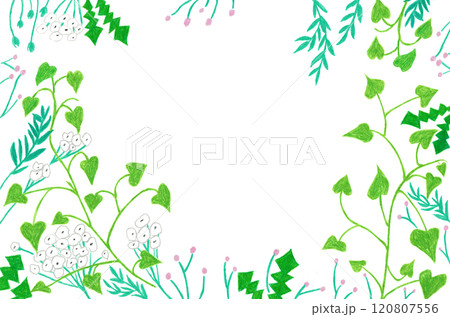 手描きイラスト 植物のフレーム 手描きイラスト 植物のフレーム 120807556