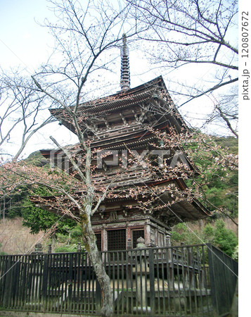 京都市東山区の清水寺の子安の塔 120807672