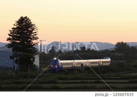 廃止確定　石北本線　臨時特急大雪　特急大雪　キハ283系　283系 120807835