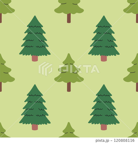 Fir seamless pattern, evergreen plant, spruce cedar background, New Year pattern for wrapping paper, postcard, banner 120808116
