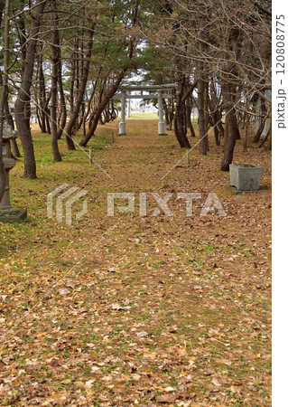冬の北海道乙部町で鳥山神社の境内の風景を撮影 120808775