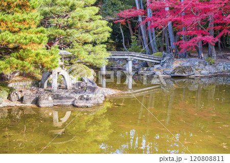晩秋の日本庭園　紅葉 120808811