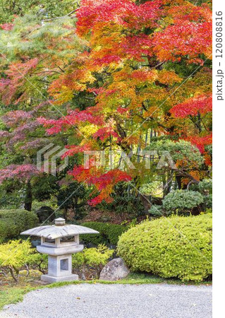 晩秋の日本庭園 紅葉 晩秋の日本庭園 紅葉 120808816