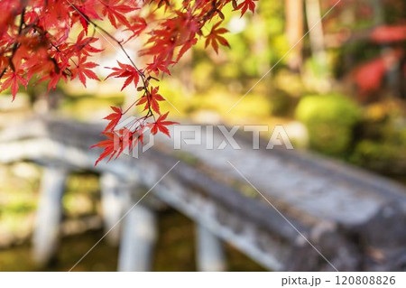 晩秋の日本庭園 紅葉 晩秋の日本庭園 紅葉 120808826