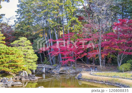 晩秋の日本庭園　紅葉 120808835