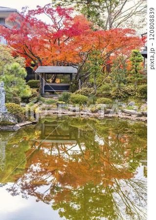 晩秋の日本庭園　紅葉 120808839