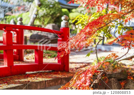 晩秋の日本庭園　紅葉 120808853