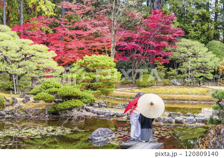 晩秋の日本庭園　和傘と新郎新婦 120809140
