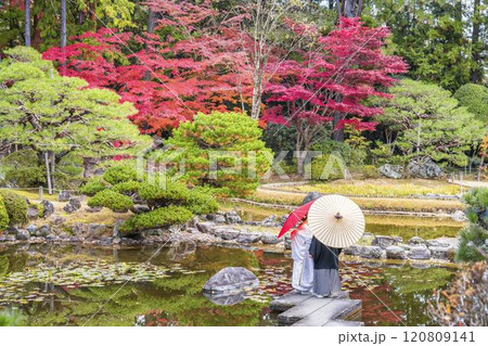 晩秋の日本庭園 和傘と新郎新婦 晩秋の日本庭園 和傘と新郎新婦 120809141