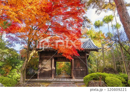 晩秋の山門と紅葉 参道の風景 イメージ 晩秋の山門と紅葉 参道の風景 イメージ 120809221