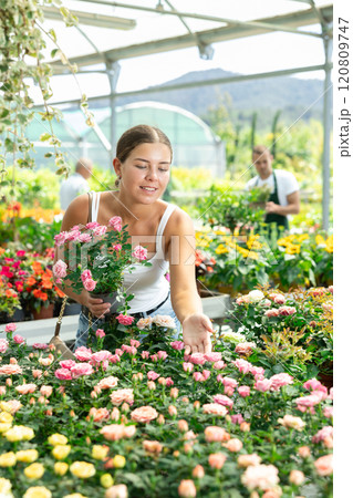 Girl walks through exhibition of ornamental plants, examines rose in showcase 120809747